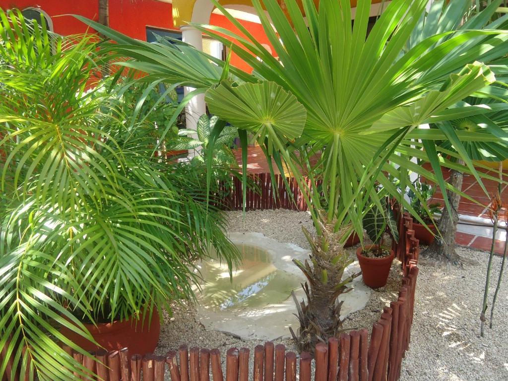 El Acuario Hotel Playa del Carmen Exterior photo